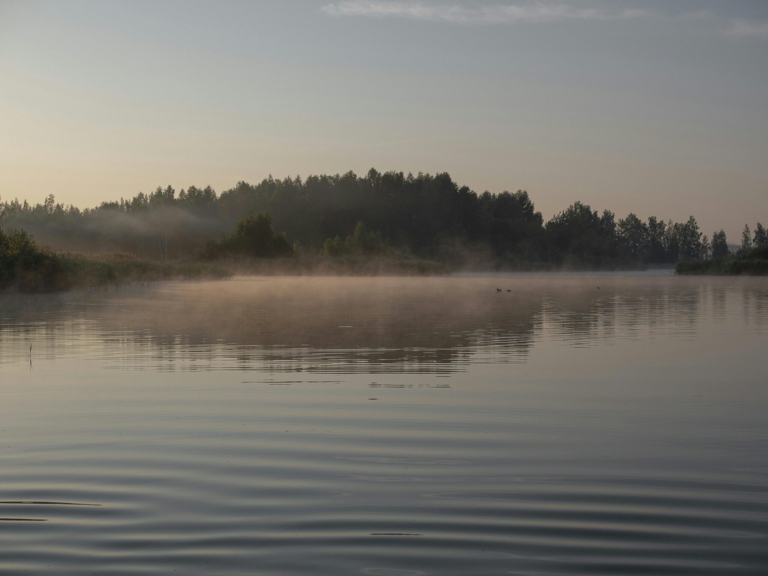 A foggy morning view of a scenic waterway with rain creating ripples