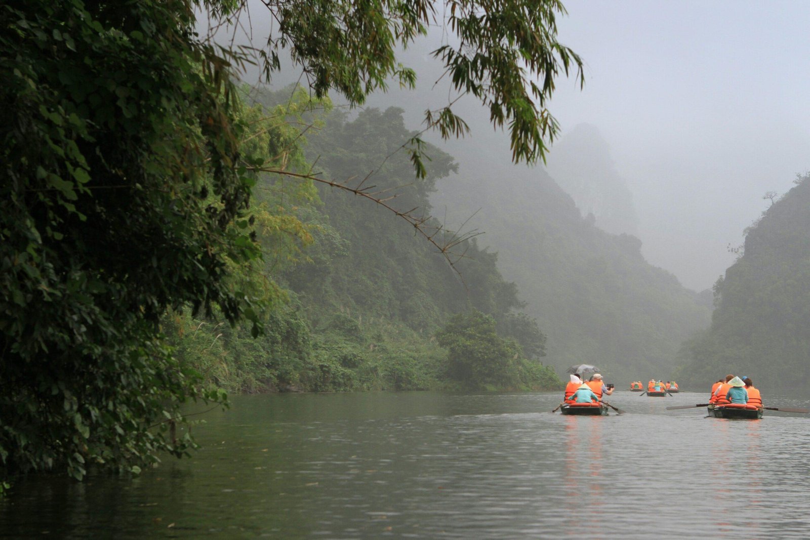 A scenic view of a river cruise passing through lush greenery