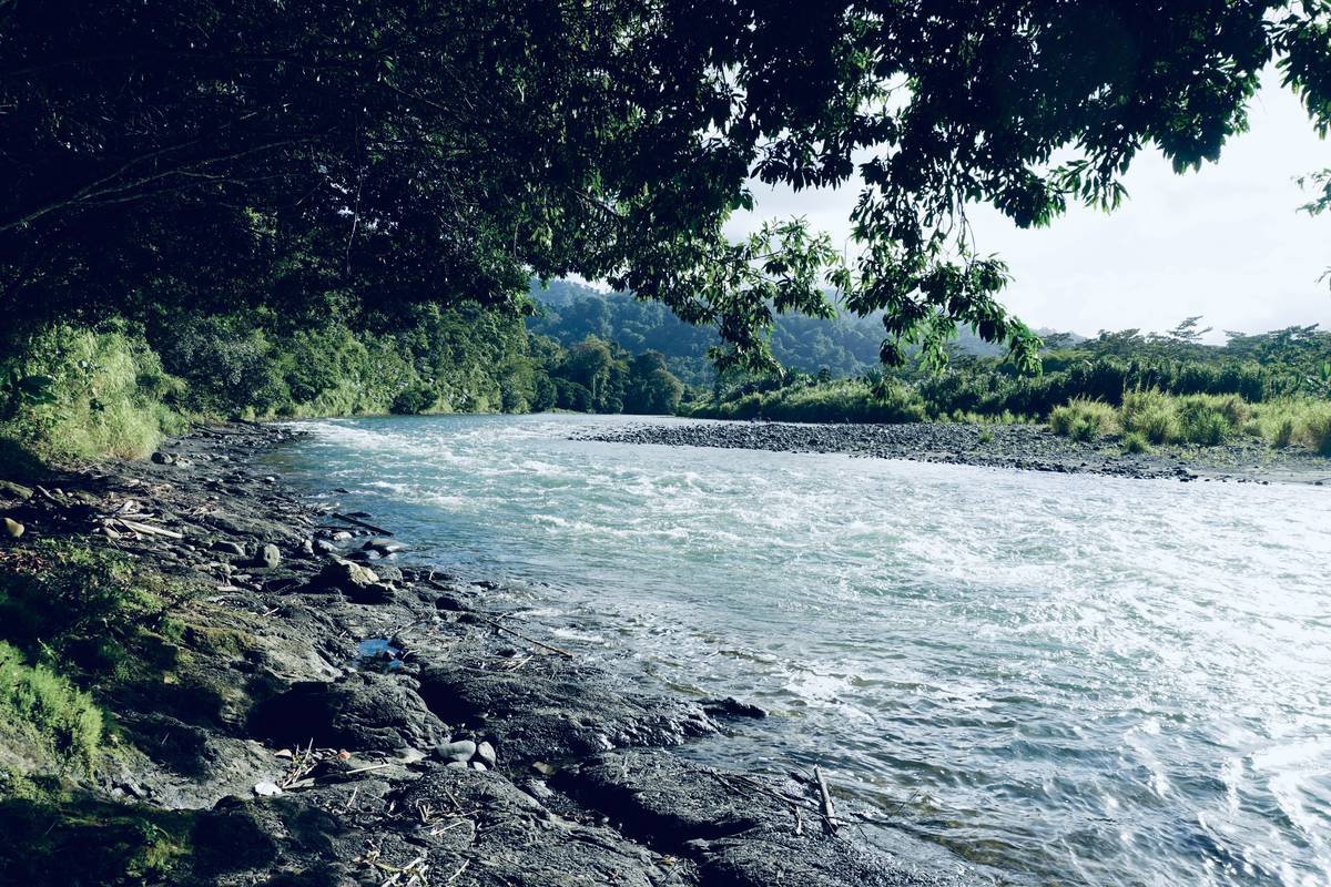 Unpacking the Cruise Guard Benefits: Why River Cruise Insurance is a Game-Changer