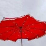 Why You Need River Expedition Insurance: A Survival Guide to Worry-Free Cruising