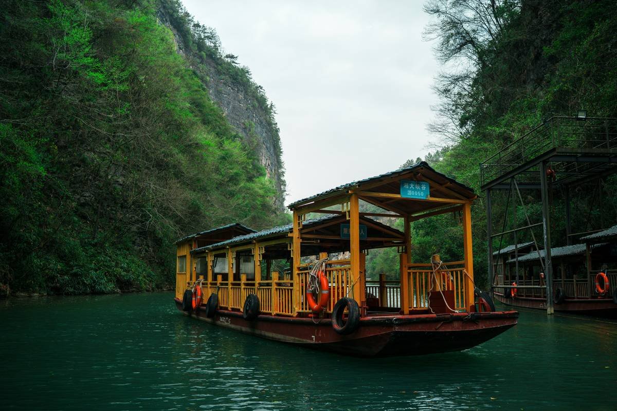 Why Excursion Insurance Plans Are a River Cruiser’s Best Friend (and How to Choose the Right One)